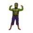 Disfraz Hulk Talle 1