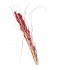 Ramo Flor Seca Surtido 1.60 m Super Alto