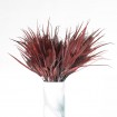 Planta Grass Spray Roja 64 cm RMD0048