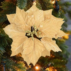 flor de navidad
