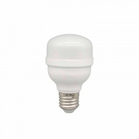 Lampara Led 20w Hi-Power Luz Dia E27